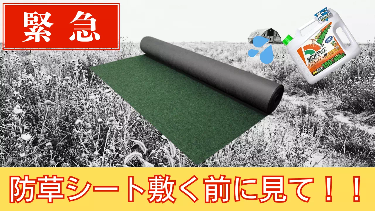 防草シートを敷く前に除草剤で害虫対策！プロが教える効果的な使い方