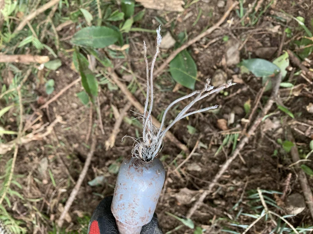 害獣によってちぎれたワイヤー