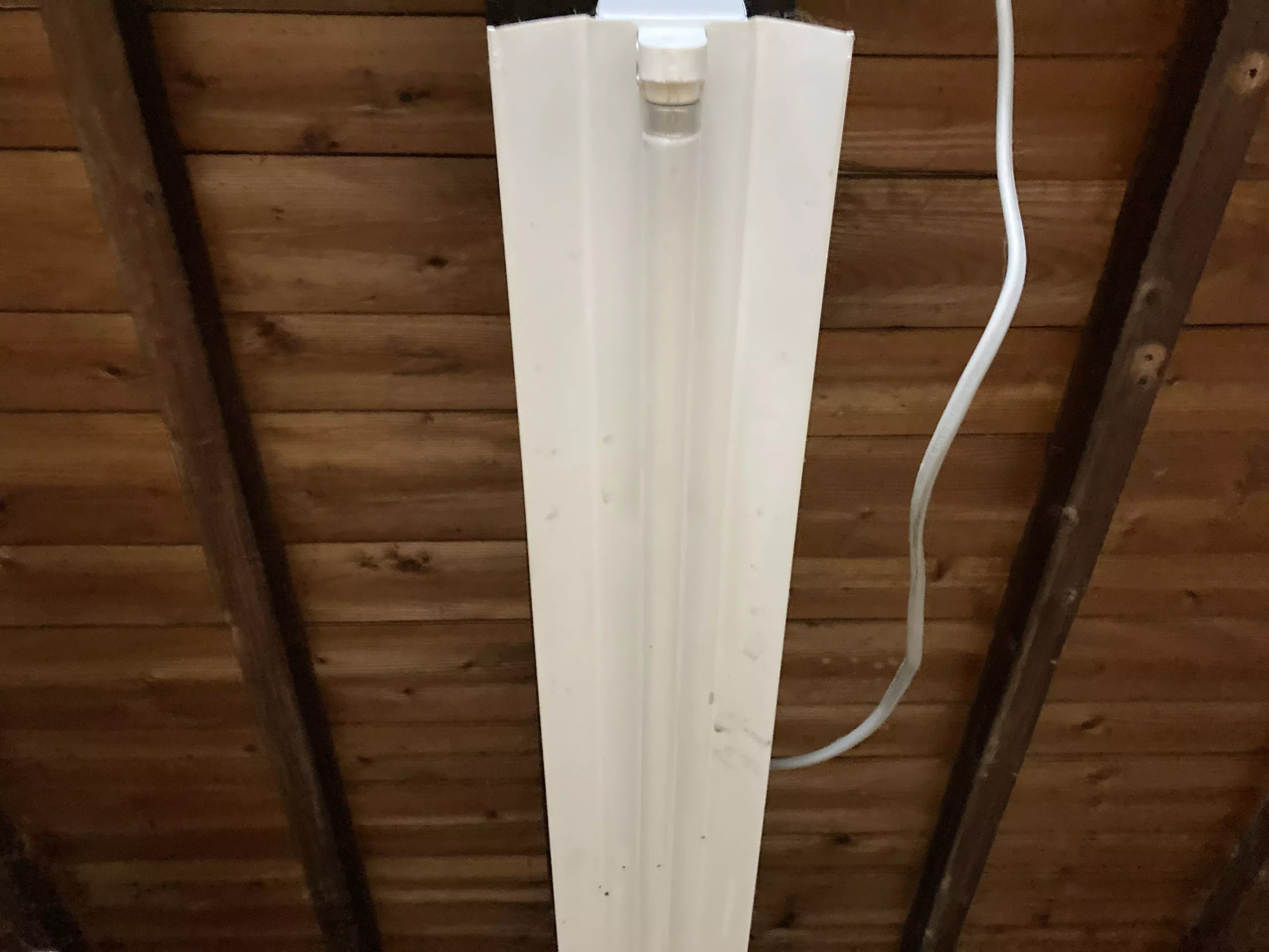 カメムシが好む蛍光灯