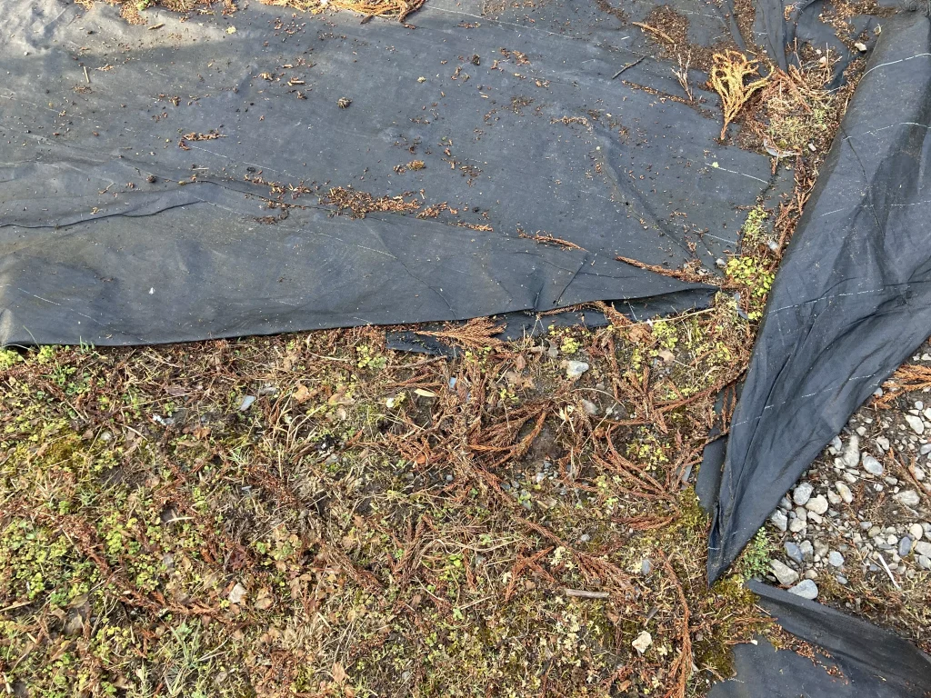 ムカデの隠れ家