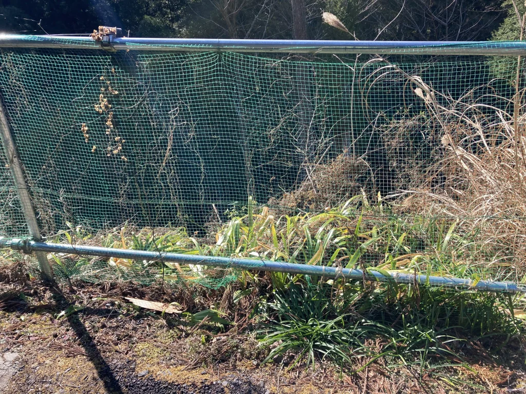 鹿用ネットと単管パイプ