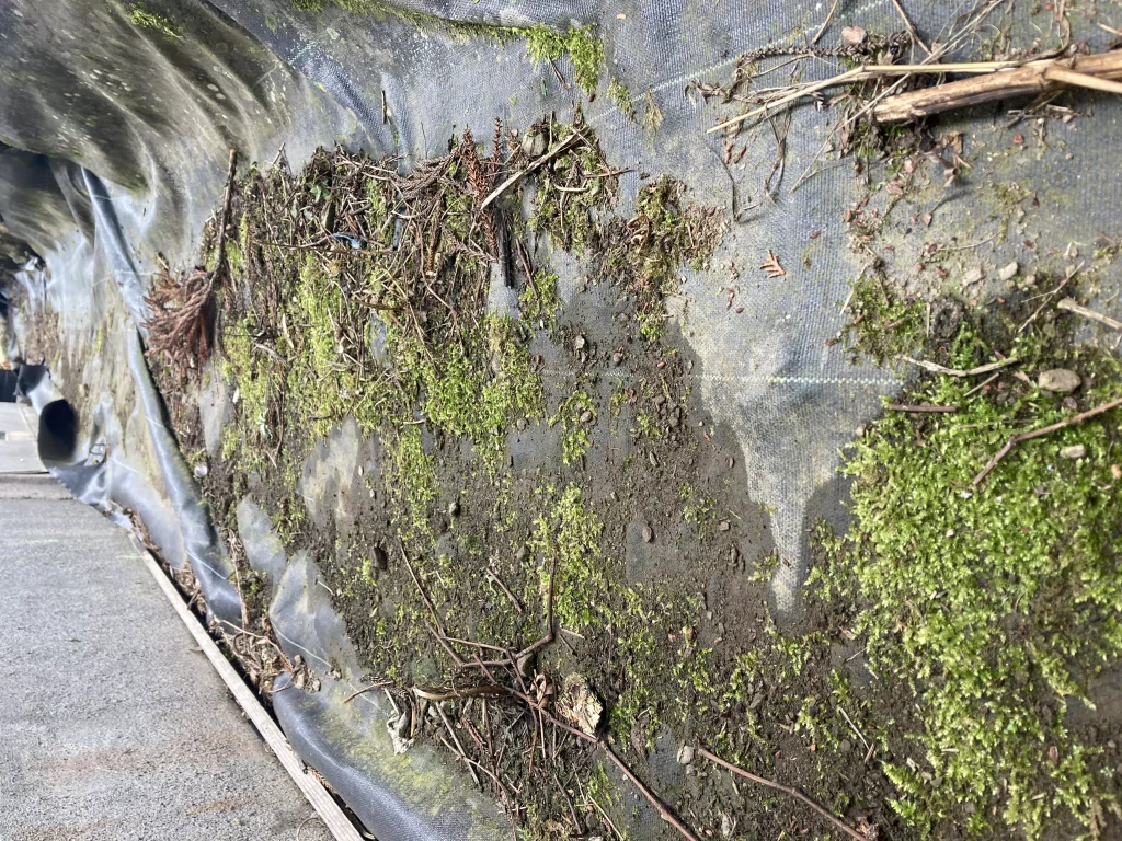 正しい固定…だがしかし