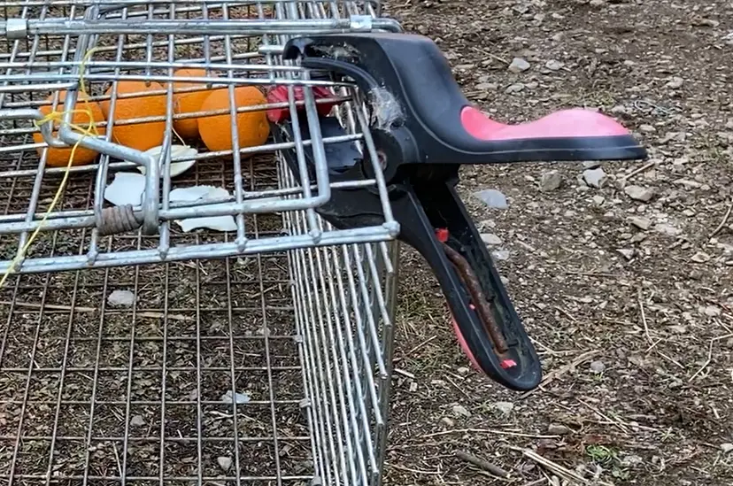 設置に必要な道具