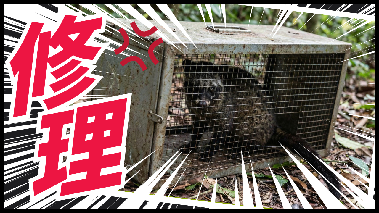 箱罠トリガーの作り方と仕組み！壊れた箱罠は改造して再利用出来る！