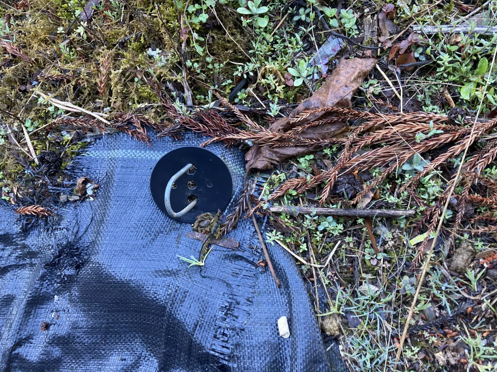 抜けかけのピン