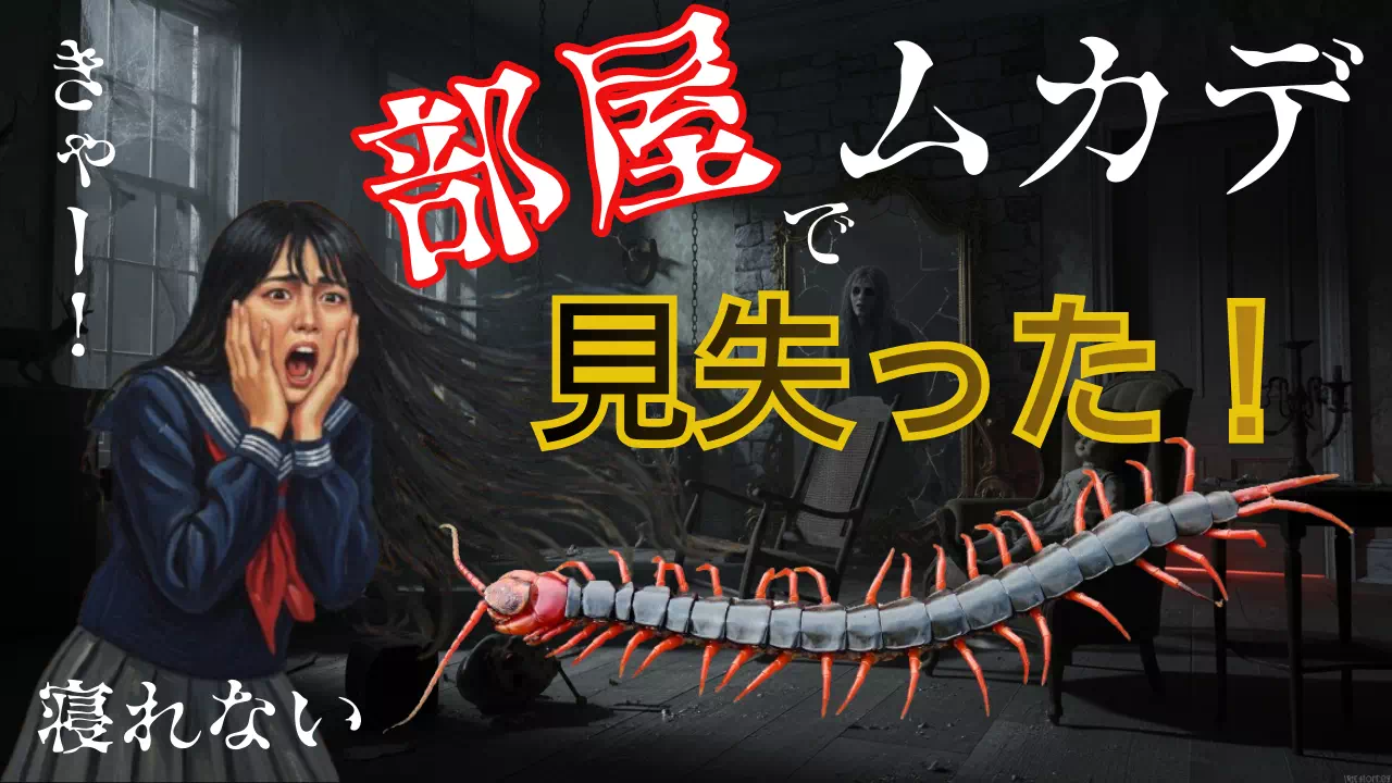 ムカデを部屋で見失ったらどうする？