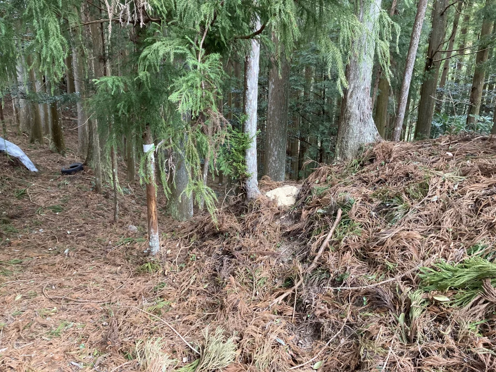 鹿のくくり罠設置外観