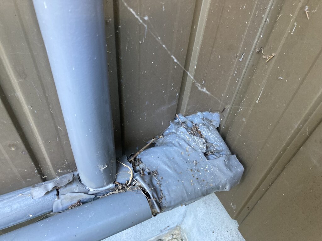 ネズミの侵入経路