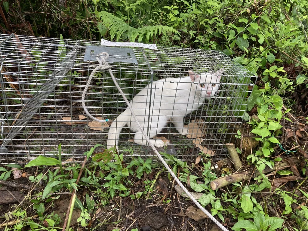 何回もかかる事も