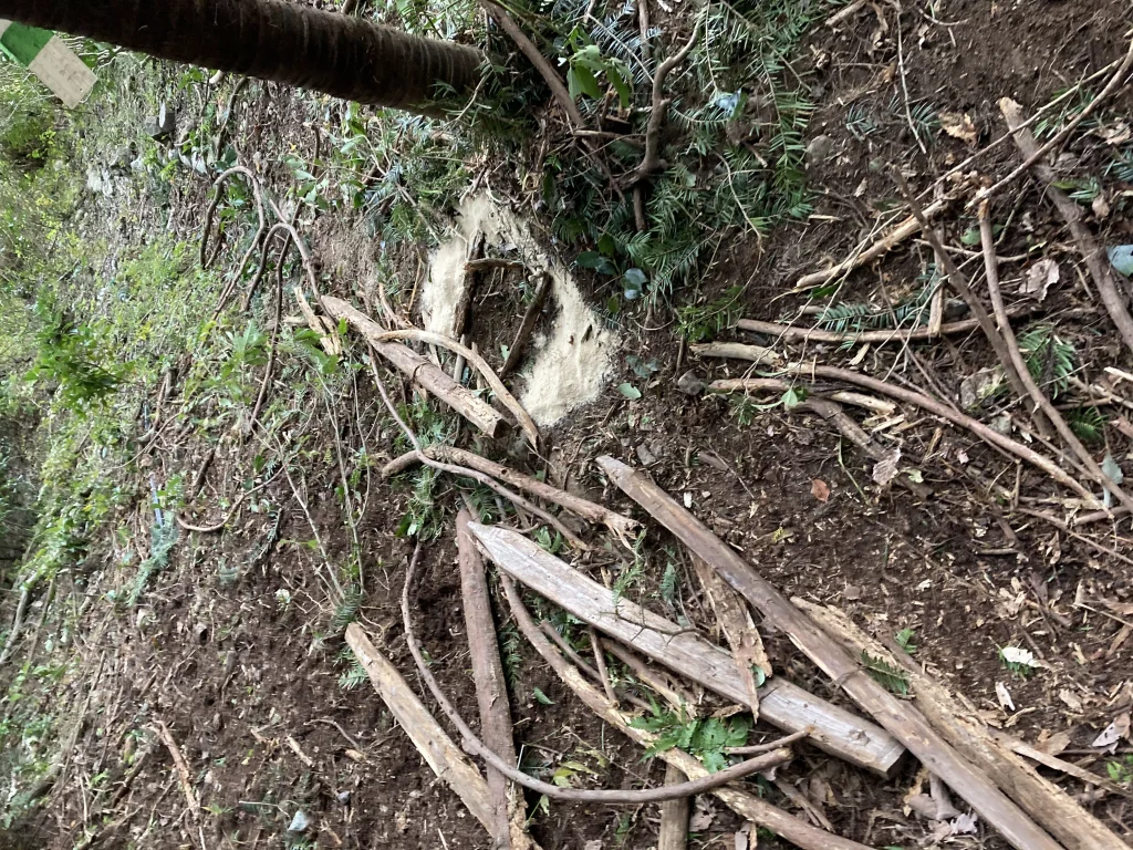 鹿用のくくり罠設置