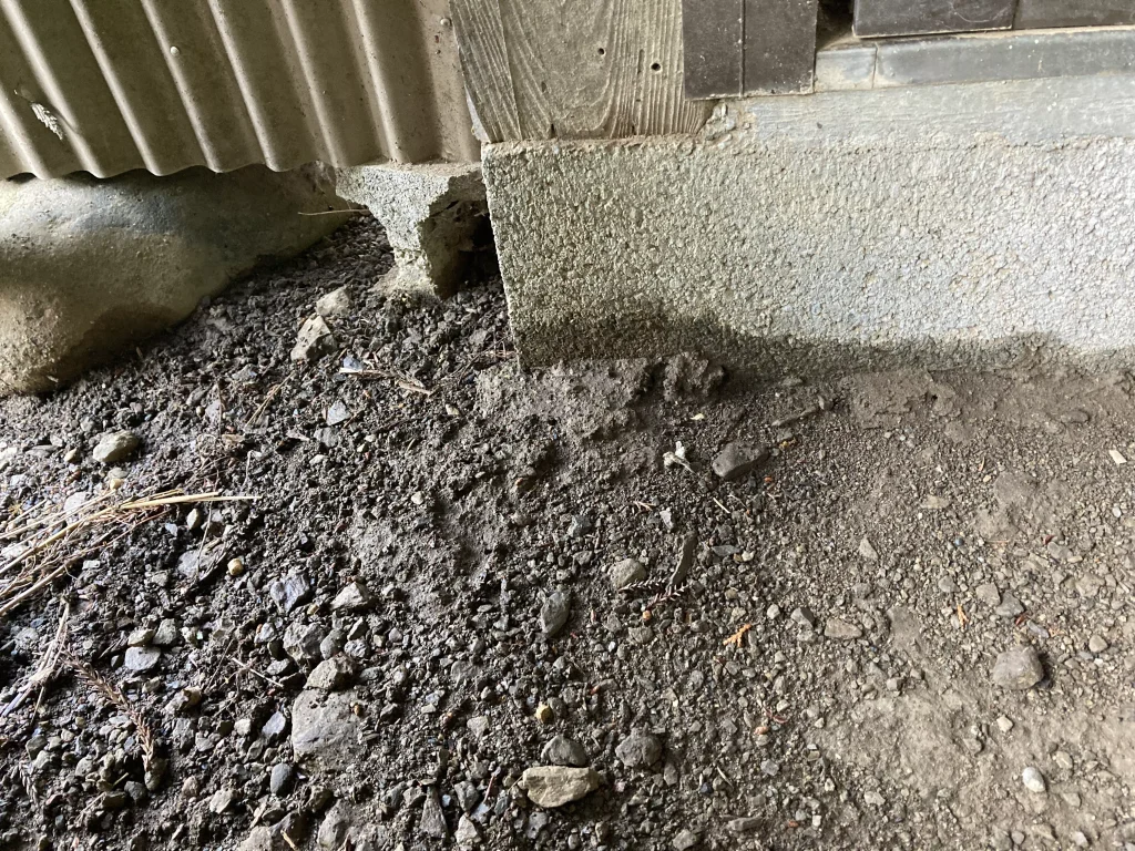 ムカデの住処と侵入経路