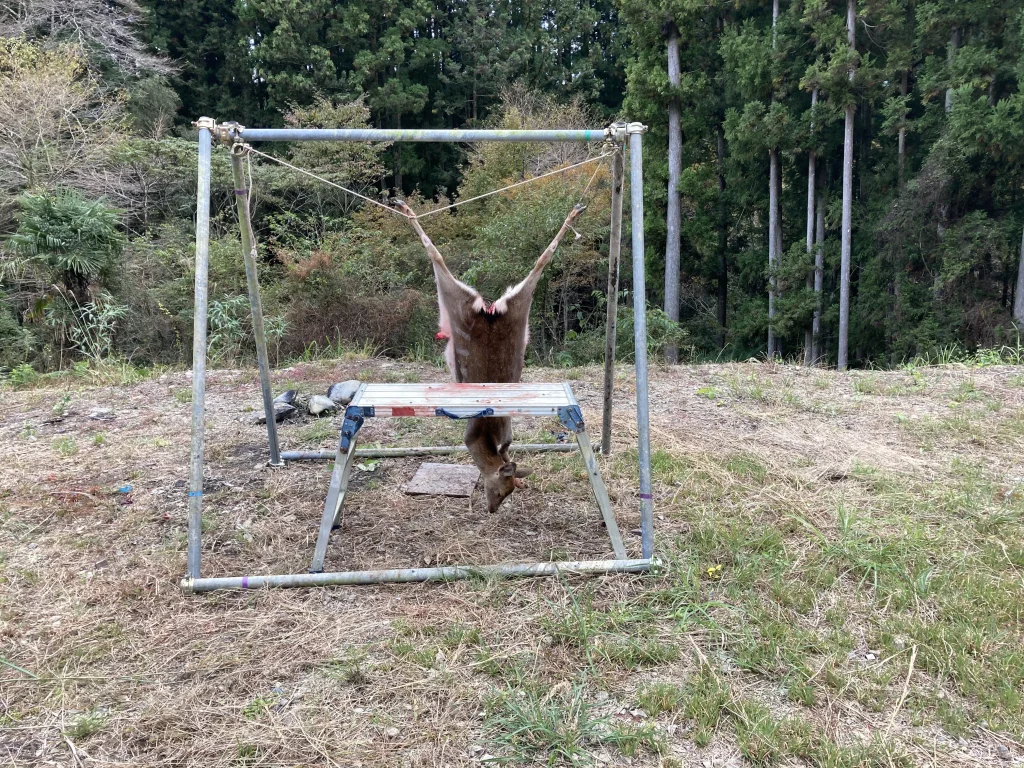 捌く直前の鹿さん