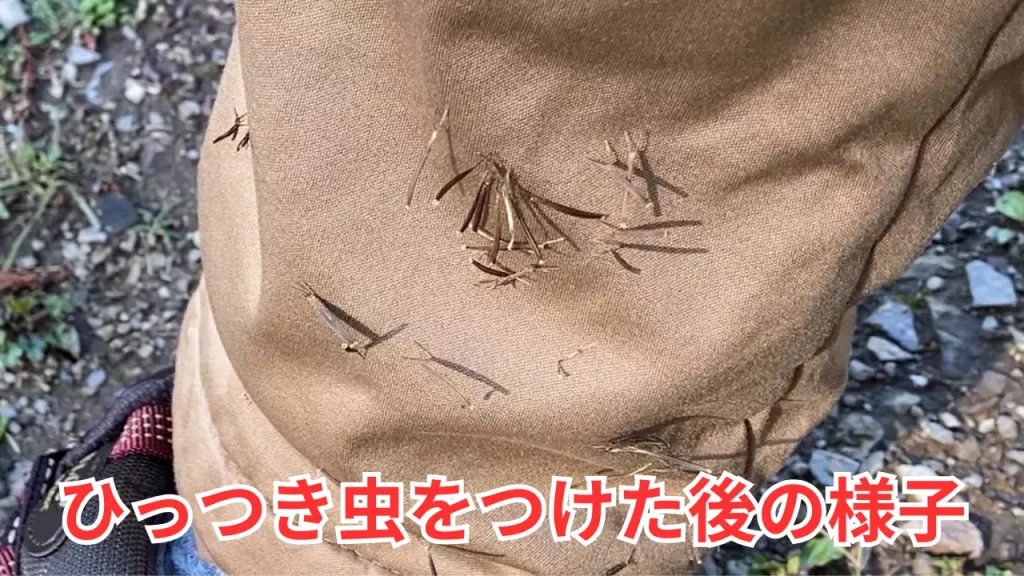 ひっつき虫をつけたあと