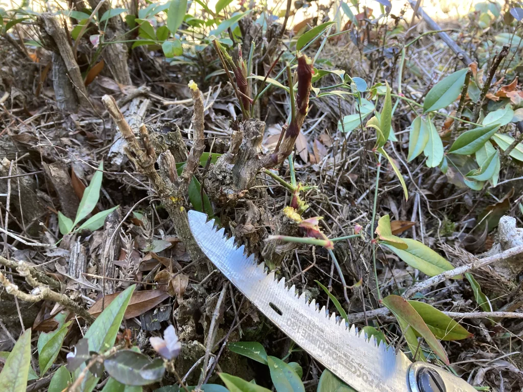 南天の伐採道具