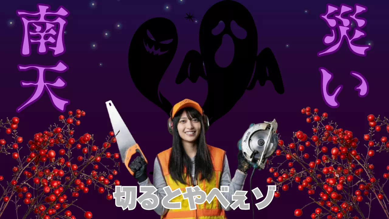 南天を切ると災いは迷信！伸びすぎ放置が招く害虫被害と剪定法を図解で解説