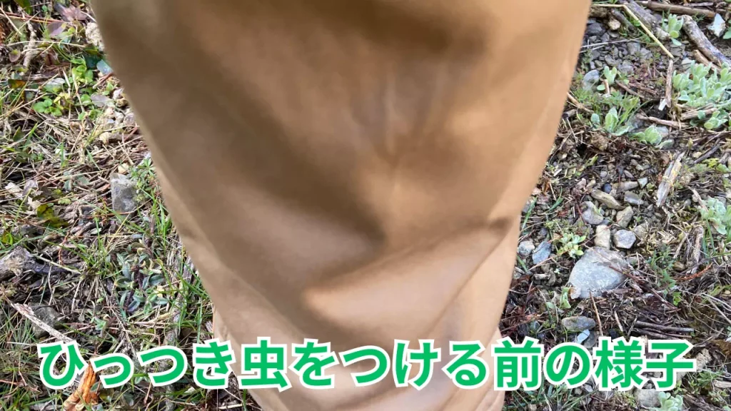 くっつき虫をつける前