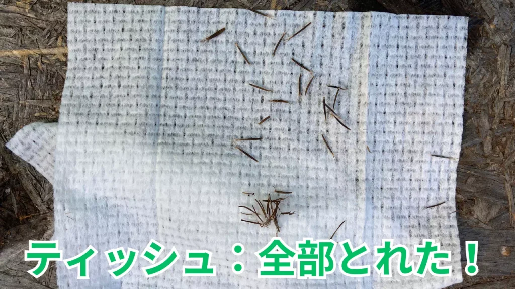 ウェットティッシュとひっつき虫